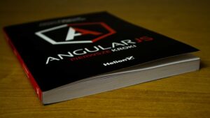 livre angular